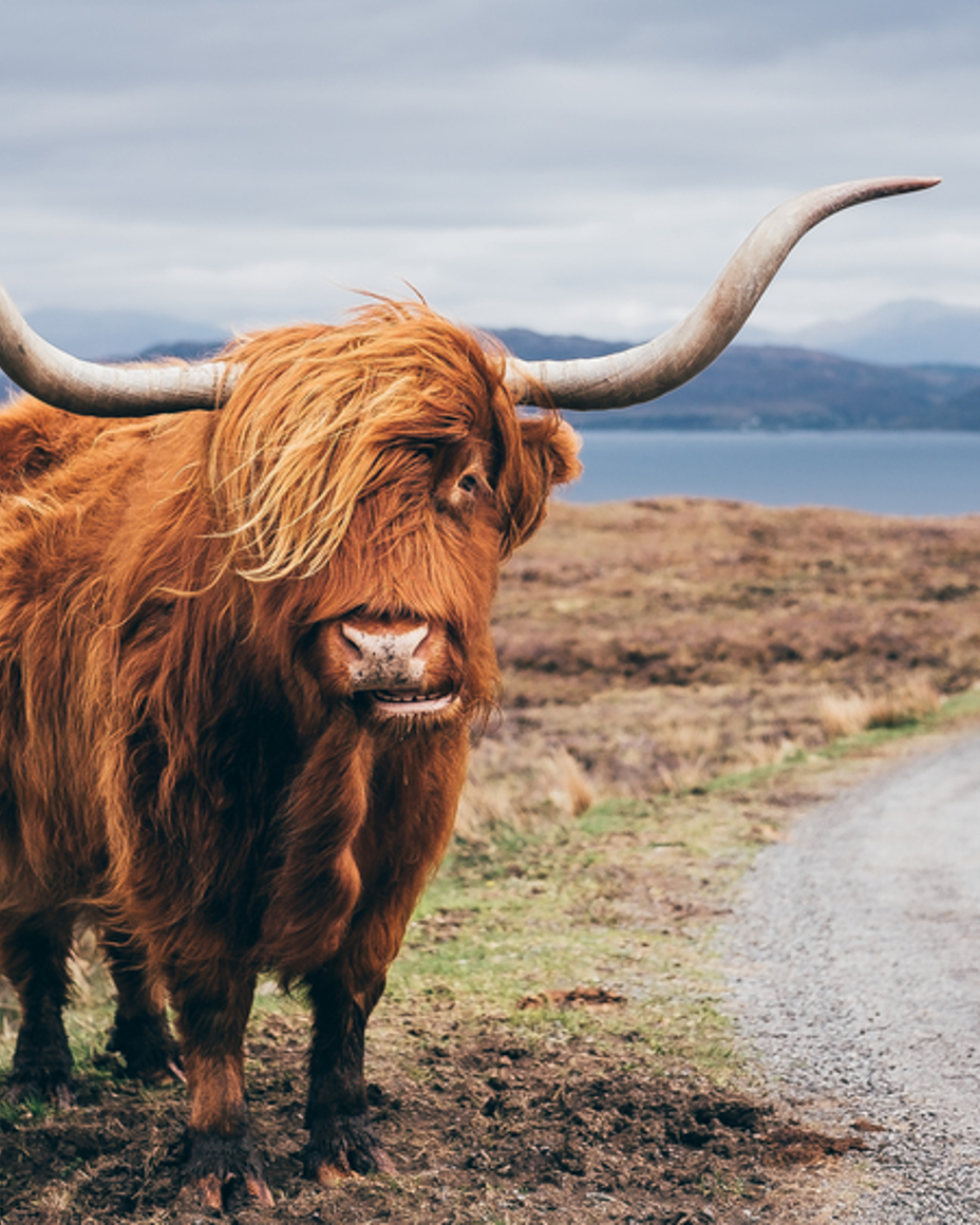 Scottish Highlands