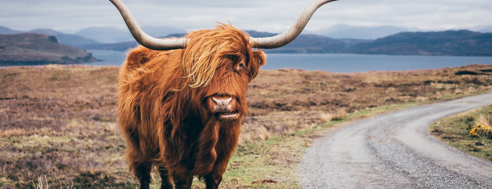 Scottish Highlands