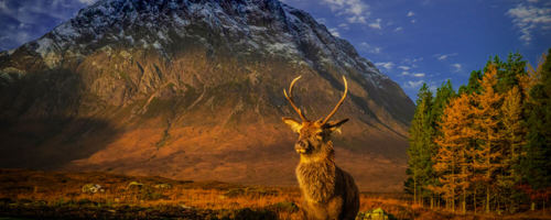 Buachaille Etive Mòr