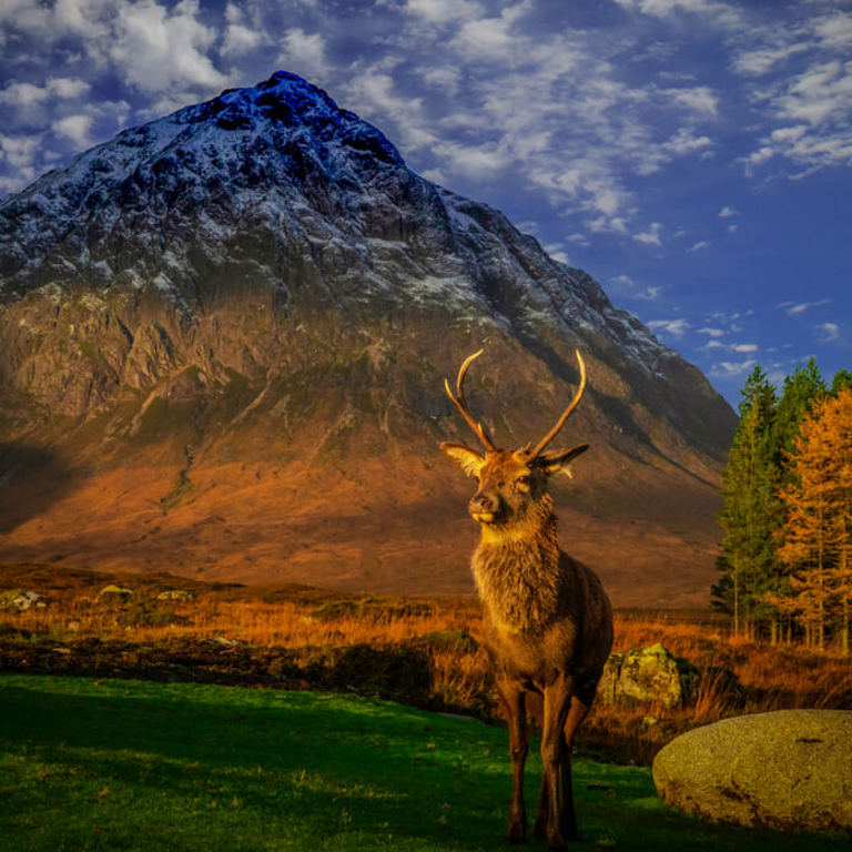 Buachaille Etive Mòr